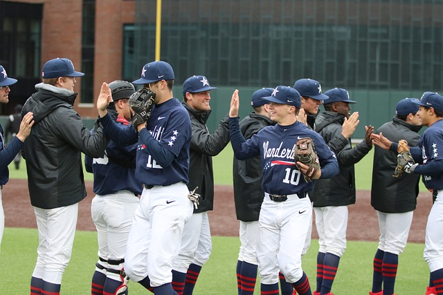 high five, baseball, sports